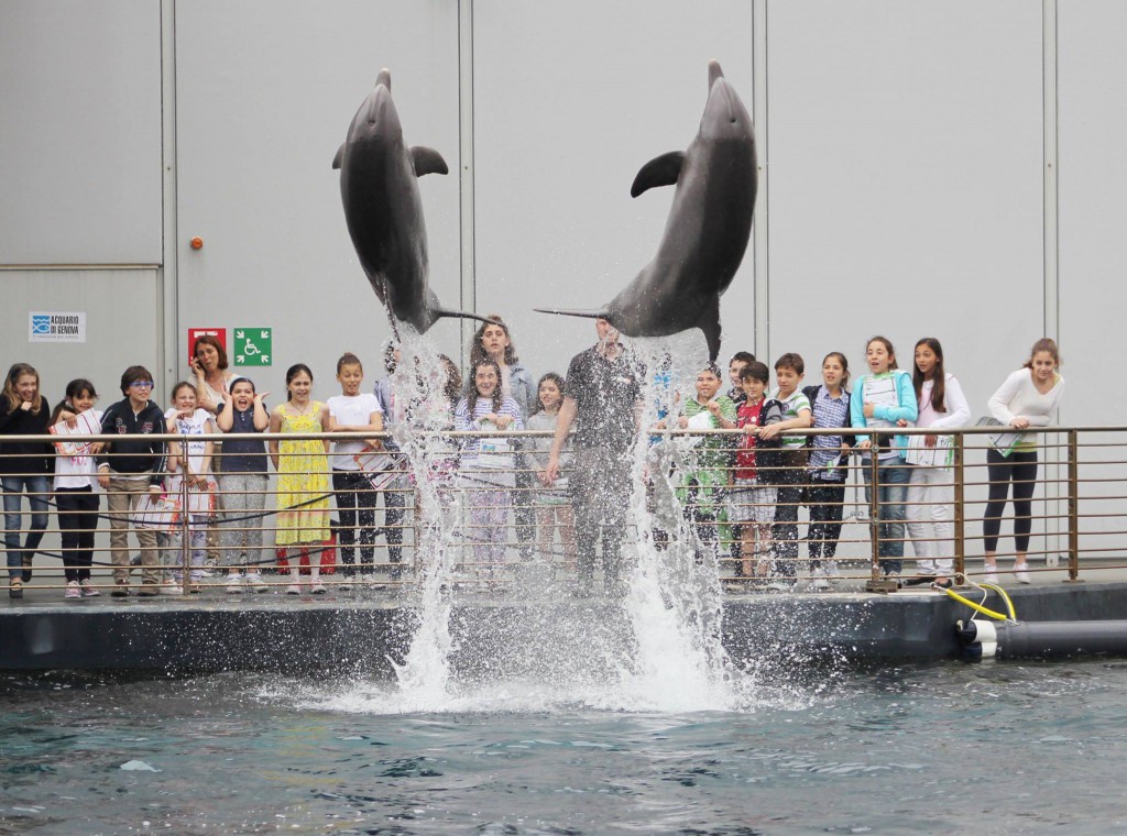 Źródło: facebook.com/acquariodigenova | WakacjeWlochy.lh.pl