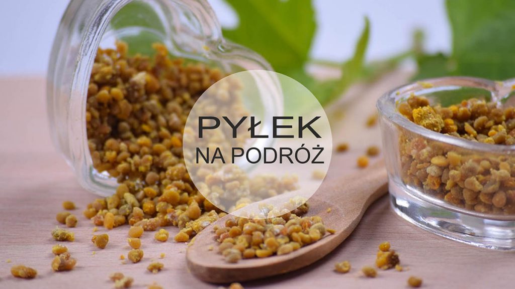 Pyłek na dobrą podróż | WakacjeWlochy.lh.pl