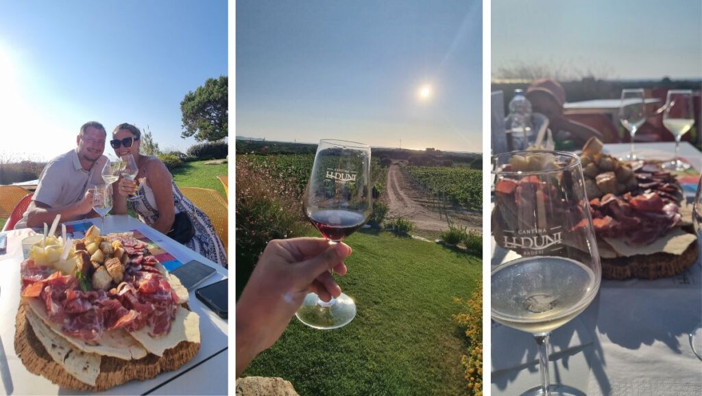 Degustacja win w Li Duni w Badesi WakacjeWeWloszech.pl